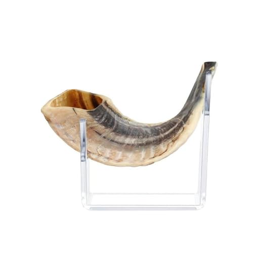 Yunnan 2 Stück Acryl Ständer Für Shofar Halterung Ständer Staffelei Rack Halter Unterstützung Schafhorn Schwerter Display Ständer Rack Dekoration Horn Display Ständer Sichere Stützstruktur von Yunnan Sourcing