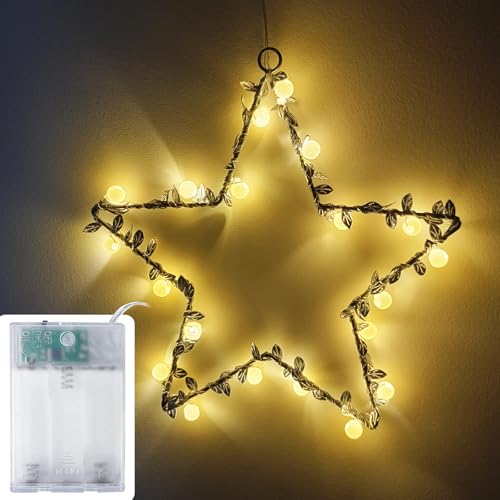 Fensterdeko Sterns 25cm mit Perle, Lichterkette Batterie 20 LEDs mit Timer innen Lichterkette für Zimmer Deko Halloween Weihnachten Kinderzimmer Hochzeit Schlafzimmer, Batteriebetrieben Beleuchtet von Yusinjoy