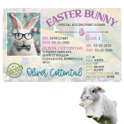 Osterhase Verlorener Führerschein, Osterdekoration, Osterhasenkarte, Osterscheinkarte für Kinder, Hasenfahrerausweis, Osterhasenschein, Ostergeschenk für Kinder von ZAGEVIVIN