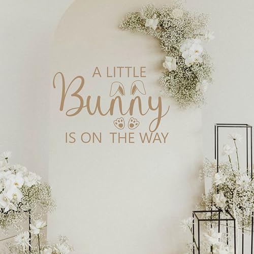 ZAIBIANHAO "A Little Bunny is On The Way" Baby Shower Luftballons Bogen Aufkleber – Some Bunny Party Hintergrund Aufkleber für Frühling Ostern Kaninchen Motto Babyparty von ZAIBIANHAO