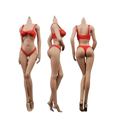 ZCERA Superflexibler weiblicher nahtloser Puppenkörper im Maßstab 1:6, Mädchen-Körpermodell mit schmalen Schultern, dünnes Brust-Stahlskelett ohne Kopf, Maßstab 1:6, Actionfiguren-Set (Farbe: Neuer von ZCERA