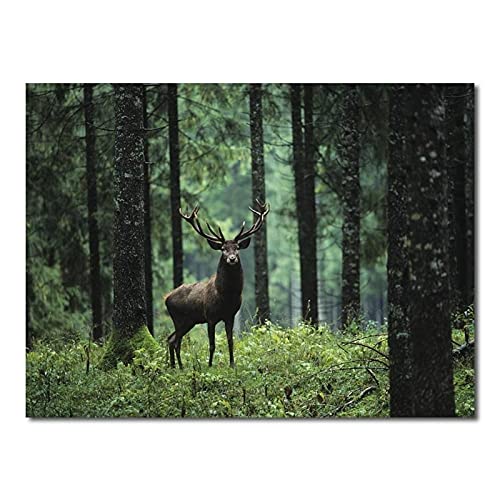 ZCHX Leinwand Malerei Wald Landschaft Wandkunst Grün Pflanze Baum Hirsch Poster Moderne Wohnkultur Bilder Wohnkultur (Color : A, Size : 60x90cm No Frame) von ZCHX