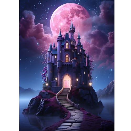 ZEELANNA 30x40cm 5D Diamond Painting Nacht, DIY Malerei Diamant Schloss, Diamond Painting Erwachsene, Diamant Stickerei Bild Handwerk Haus Schlafzimmer Wohnzimmer Wanddekoration von ZEELANNA