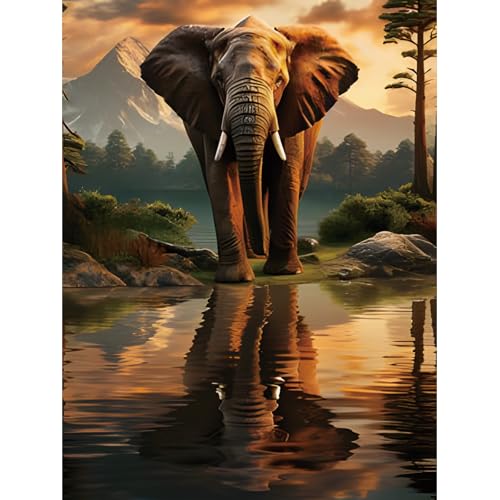 ZEELANNA Diamond Painting Elefant Diamant Painting Bilder Diamond Painting Bilder Elefantenreflexion Diamond Painting Erwachsene DIY Diamond Painting Set Erwachsene 30x40cm für Home von ZEELANNA