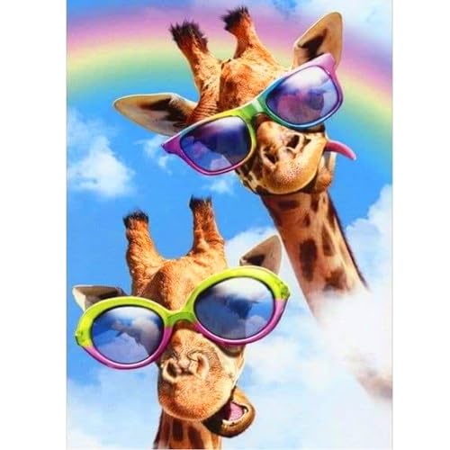 ZEELANNA Diamond Painting Giraffe Diamond Painting Bilder Diamond Painting Erwachsene Regenbogen Landschaft 5D Diamond Painting Set Diamant Painting Bilder Erwachsene 30x40 für Home Wand Decoration von ZEELANNA