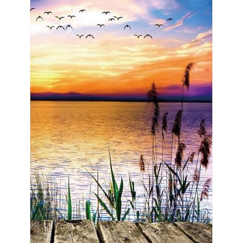 ZEELANNA Diamond Painting Sonnenuntergang Diamond Painting Erwachsene Diamond Painting Bilder Landschaft Diamond Painting Set Diamant Painting Bilder Erwachsene für Home Wand Decoration, 30x40cm von ZEELANNA