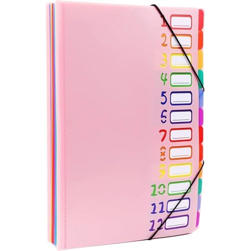 farbige dateiordner A4-Letter-Format, mehrfarbiger, erweiterbarer Projektsortierer mit 12 Fächern, robuster, monatlicher, erweiterbarer Ordner-Organizer aus Kunststoff brieftaschen-ordner(Pink) von ZENGXJYCQINGJIANG