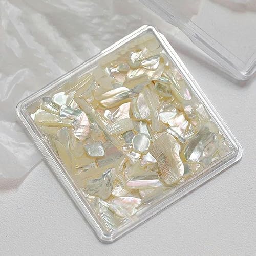 1Box Aurora Muschelflocken Abalone Nägel Charms Dünne natürliche unregelmäßige Scheibe Muschel Stein Pailletten Maniküre Kunst Dekoration-YH365-15 von ZFISH