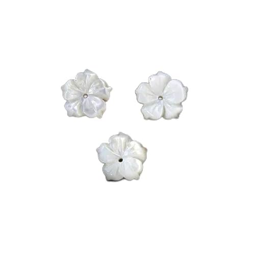 Natürlicher weißer Perlmutt-Muschel-Charm-Anhänger, Perlen, Rosenblüten-Anhänger, Halskette, Brosche, flache Rückseite, Zubehör zur Schmuckherstellung, 12 mm_b, 5 Stück von ZFISH