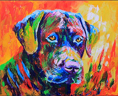 Diamant Painting Kinder 5D Diamond Painting Kits, bunter Hund Labrador DIY Malen Nach Zahlen Erwachsene Diamant Malerei Geburtstagsgeschenke30*40cm von ZGQAMZ