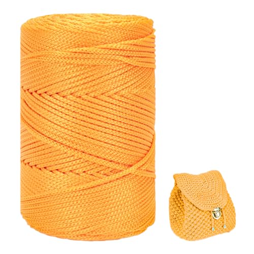 ZHANGXIAOMIN Polyester Garn 3mm X 225m，Makramee Garn 3mm，Makramee Band，Polypropylene Yarn，Geflochten Makramee Schnur Farbig，garn Zum Häkeln Für Stricken，Dekoration DIY Handwerk (Gold) von ZHANGXIAOMIN