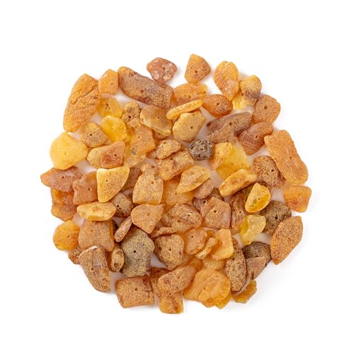 Bernstein-Rohsteine mit gebohrtem Loch (20 Grams) – 100% natürliche baltische Chips für Schmuck und Perlen von ZHAOXIA