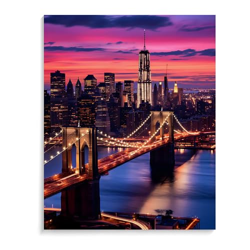 Malen Nach Zahlen Landschaft New York Ohne Rahmen 40X50Cm Diy Malen Nach Zahlen Erwachsene Groß Leinwand Set,Malen Nach Zahlen Acryl Kinder,A30 von ZHXXFD