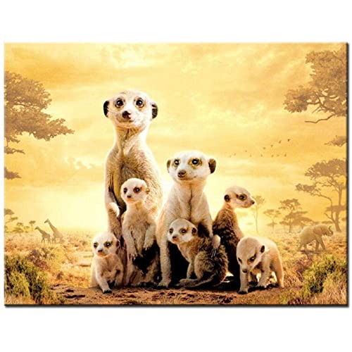 ZHXXFD 5D Diamond Painting Erwachsene Kinder Set Tiere - Diamond Painting Bilder Full Groß 30X40CM Erdmännchen - Diamant Malerei Nach Zahlen Kits Für Teenager Mädchen Jungen von ZHXXFD