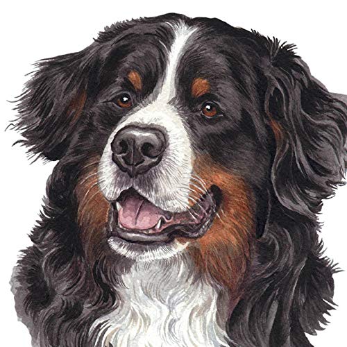 ZHXXFD 5D Diamond Painting Set Kinder Erwachsene Groß Full Bild Tier 30x30CM Runde Steine Strass Drill Mosaik Gelegt Diamant Malerei Stickerei Welpe Berner Sennenhund Hund Kreuzstich von ZHXXFD