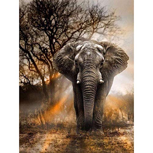 ZHXXFD 5D Diamond Painting Tiere 40X50CM Diamond Painting Erwachsene Kinder Set Elefant Full Bilder Groß Runde Steine-Diamant Malerei Nach Zahlen Kits Für Teenager Mädchen Jungen von ZHXXFD