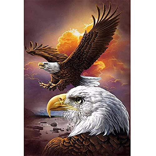 ZHXXFD Diamond Painting Bilder Set Full Groß Tier Adler 40X60 5D Diamond Painting Strass Runden Steine,Diamant Painting Set Erwachsene Kinder Diamant Malerei Kunst Kit von ZHXXFD