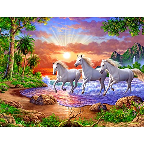 ZHXXFD Diamond Painting Erwachsene Kinder Set,5D Diamant Painting Bilder Groß Tiere Pferd 30X40 Diamant Malerei Set Malen Nach Zahlen Für Mädchen Jungs,A16 von ZHXXFD