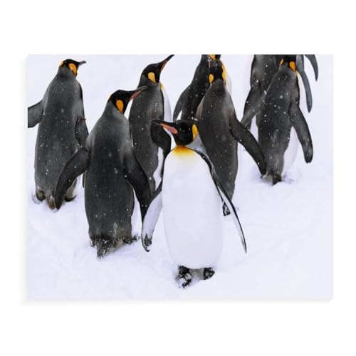 ZHXXFD Diamond Painting Erwachsene Set Pinguin In Winterlandschaft 55X80 Diamant Painting Bilder Groß Steine Rund 5D Diy Diamant Malerei Kits Kreuzstich Stickerei Mosaik Art Craft,B66 von ZHXXFD