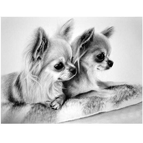 ZHXXFD Diamond Painting Kinder Erwachsene Bilder 50x70CM Round Drill Chihuahua Hund Diamant Stickerei Set 5D Full Kreuzstich Tier Malen Nach Zahlen Kits von ZHXXFD