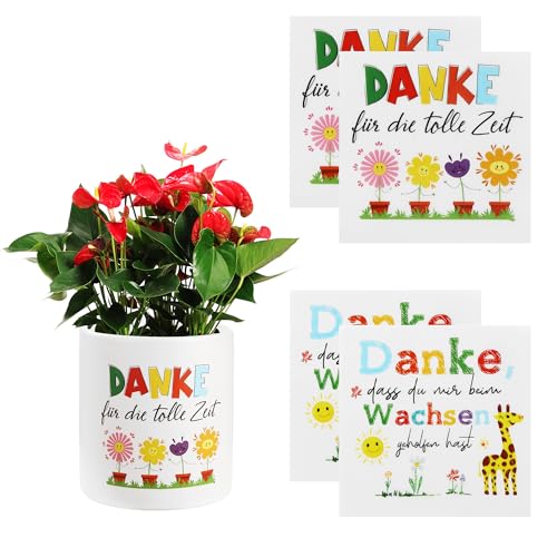 ZHYLUO 4 Blumentopfaufkleber Abschiedsgeschenk Erzieherin, Danke für das Geschenk, Kleinigkeit für Erzieherin, Abschiedsgeschenk Kindergarten, Kindergarten Dankeschön Blumentopfaufkleber von ZHYLUO