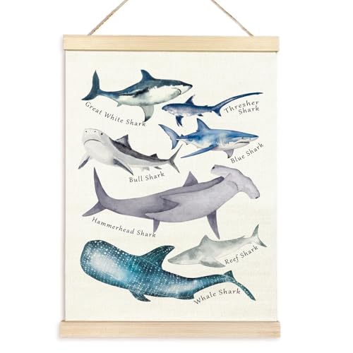 ZIDDAR Wale Bildungsplakat Für Klassenzimmer Wale Wale Wale Sea Animal Chart Poster Hanger Für Kleinkind von ZIDDAR