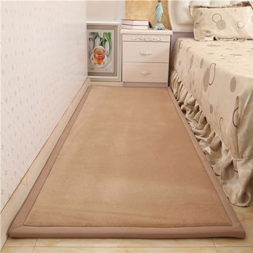 ZIKGER korallen Samtmatte,Kinder Spielmatte Weich Teppiche Tatami for Schlafzimmer, Yogamatte und Übungsauflage geeignet- beige-100 * 150cm von ZIKGER