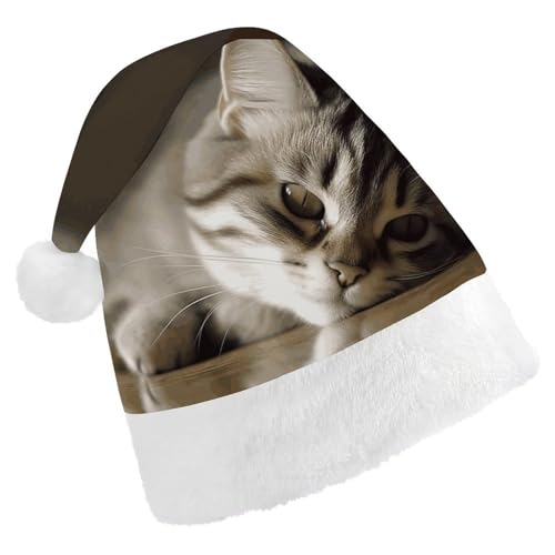 ZLFDSKGY Weihnachtsmütze, schlafende Katze, bedruckt, Weihnachtsmannmütze, Erwachsene, Weihnachtsmütze, Neujahrsparty, festliches Zubehör für Uni-Geschenk von ZLFDSKGY