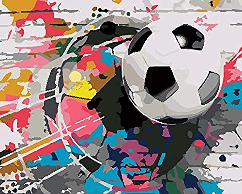 ZLLHAPPY Malen Nach Zahlen Für Erwachsene Und Kinder Farbe Gebrochen Netz Fußball Anfänger Und Kinder Mit Einem Kompletten Set Von Farben Und Pinseln, Acrylfarbe 40,6 X 50,8 cm von ZLLHAPPY