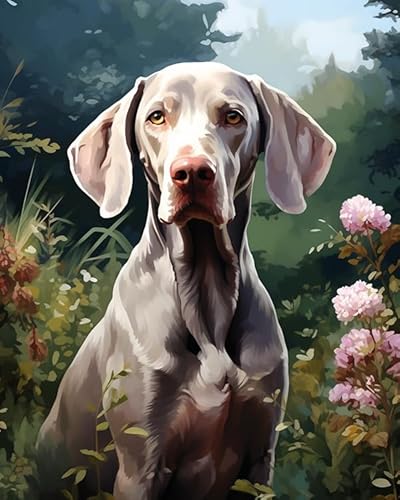 DIY Malen Nach Zahlen Kits Für Erwachsene Weimaraner Hund im Garten Acryl Malerei Kit Für Erwachsene Anfänger Geschenk Dekoration,40x50cm von ZLYHAL