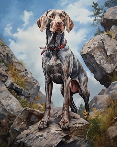 DIY Malen Nach Zahlen für Erwachsene,Weimaraner Hund, Berg, Landschaft,DIY ölgemäLde Weihnachten Geschenke Wandkunst Dekorati,40x50cm von ZLYHAL