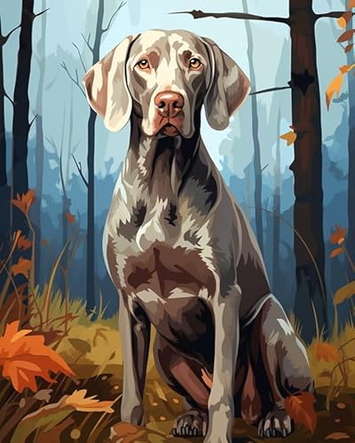 DIY Malen Nach Zahlen für Erwachsene,Weimaraner Hund, Garten,DIY ölgemäLde Weihnachten Geschenke Wandkunst Dekorati,40x50cm von ZLYHAL