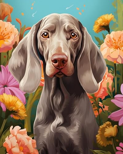 DIY Malen nach Zahlen Kits,Weimaraner Hund im Garten,Leinwand Ölgemälde Kit für Erwachsene Anfänger DIY Arts Geschenk Home Deko,40x50cm von ZLYHAL