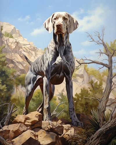 DIY Malen nach Zahlen Kits für Erwachsene,Weimaraner Hund, Berg, Landschaft,Malen nach Zahlen Kits auf Leinwand für Home Decor Geschenke,40x50cm von ZLYHAL