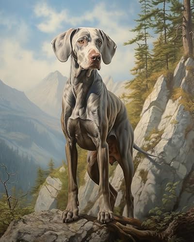 DIY Ölgemälde Kits Malen für Erwachsene,Weimaraner Hund, Berg, Landschaft,Vorgedruckte Leinwand Malen Nach Zahlen auf Leinwand Geschenk,40x50cm von ZLYHAL