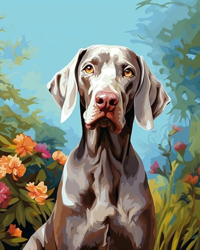 DIY Ölgemälde Kits Malen für Erwachsene,Weimaraner Hund im Garten,Vorgedruckte Leinwand Malen Nach Zahlen auf Leinwand Geschenk,40x50cm von ZLYHAL