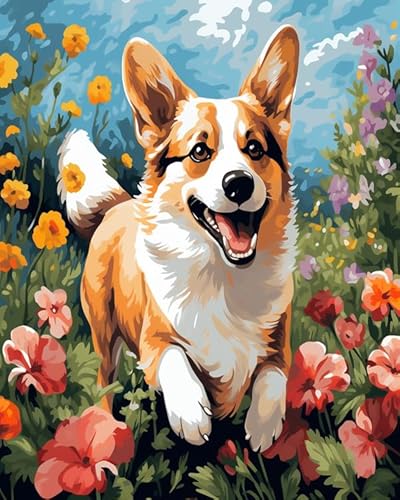 Malen Nach Zahlen DIY Handgemalt Ölgemälde Kits Geschenk Für Erwachsene Corgi in Blumen Paint By Numbers Geburtstag Home Haus Deko,40x50cm von ZLYHAL