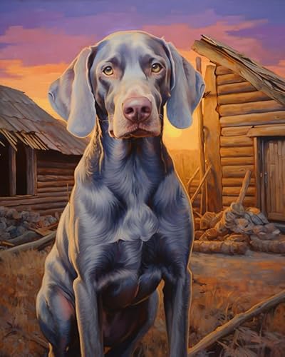 Malen Nach Zahlen DIY Handgemalt Ölgemälde Kits Geschenk Für Erwachsene Weimaraner Hund, Bauernhof Dämmerung Landschaft Paint By Numbers Geburtstag Home Haus Deko,40x50cm von ZLYHAL