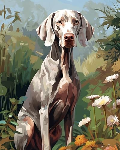 Malen Nach Zahlen DIY Handgemalt Ölgemälde Kits Geschenk Für Erwachsene Weimaraner Hund, Garten Paint By Numbers Geburtstag Home Haus Deko,40x50cm von ZLYHAL