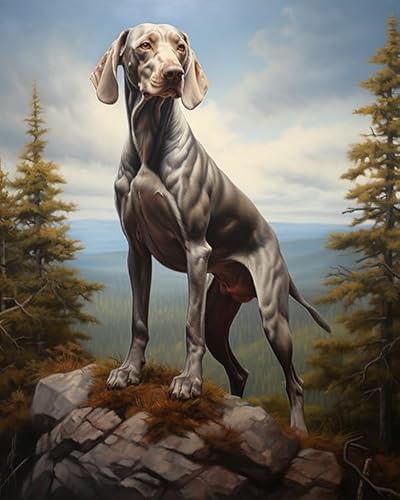 Malen Nach Zahlen DIY Handgemalt ölgemäLde Kits Geschenk für Erwachsene Weimaraner Hund, Berg, Landschaft Paint by Numbers Geburtstag Home Haus Deko,40x50cm von ZLYHAL