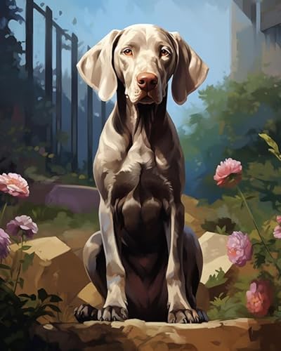 Malen Nach Zahlen Für Erwachsene,Weimaraner Hund, Garten,Painting by Numbers Moderner Stil öl Wandkunst Home Haus Dekor,40x50cm von ZLYHAL