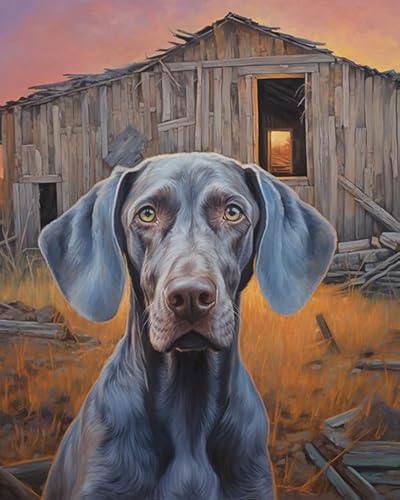 Malen Nach Zahlen Für Erwachsene Weimaraner Hund, Bauernhof Dämmerung Landschaft Handgemalte Leinwand Digitale Malerei,40x50cm von ZLYHAL