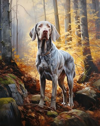 Malen Nach Zahlen Für Erwachsene Weimaraner Hund, Bauernhof Dämmerung Landschaft Painting by Numbers Moderner Stil öl Wandkunst Home Haus Dekor,40x50cm von ZLYHAL