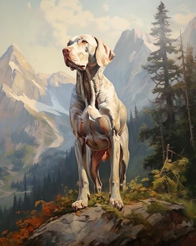 Malen nach Zahlen für Erwachsene,Anfänger,Weimaraner Hund, Berg, Landschaft,Malen nach Zahlen Set für Erwachsene,DIY-Geschenk-Leinwand-Malsets,40x50cm von ZLYHAL