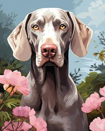 Malen nach Zahlen für Erwachsene,Anfänger,Weimaraner Hund, Garten,Malen nach Zahlen Set für Erwachsene,DIY-Geschenk-Leinwand-Malsets,40x50cm von ZLYHAL