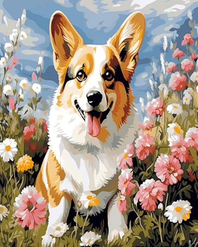 Malen nach Zahlen für Erwachsene,Corgi in Blumen,Digitale Ölgemälde-Kunstwerke,Bereichern Sie Ihr Leben,40x50cm von ZLYHAL