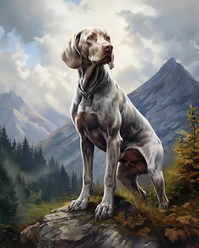 Malen nach Zahlen für Erwachsene,Weimaraner Hund, Berg, Landschaft,Malen-nach-Zahlen-Set auf Leinwand,DIY-Acryl-Digital-Öl-Zahlen-Malset für Geschenke,40x50cm von ZLYHAL