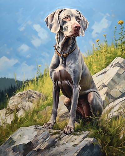 Malen nach Zahlen für Erwachsene,Weimaraner Hund, Berg, Landschaft,Malen-nach-Zahlen-Set auf Leinwand,DIY-Acryl-Digital-Öl-Zahlen-Malset für Spiele,40x50cm von ZLYHAL