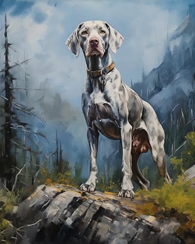 Malen nach Zahlen für Erwachsene,Weimaraner Hund, Berg, Landschaft DIY Ölgemälde nach Zahlen auf Leinwand ohne Rahmen,40x50cm von ZLYHAL