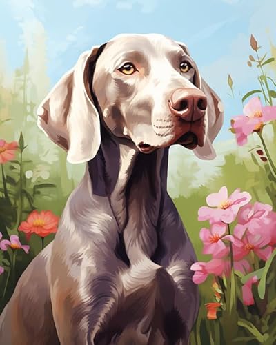 Malen nach Zahlen für Erwachsene,Weimaraner Hund, Garten,Malen-nach-Zahlen-Set auf Leinwand,DIY-Acryl-Digital-Öl-Zahlen-Malset für Geschenke,40x50cm von ZLYHAL